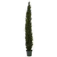 8ft. Potted Mini Cedar Pine Tree