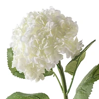 Small Cream Hydrangea Stem by Ashland®