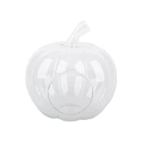 7" Glass Pumpkin Terrarium by Ashland®