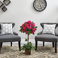 34" Artificial Bougainvillea Topiary with Wood Box