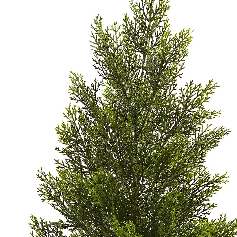 3ft. Potted Mini Cedar Pine Tree