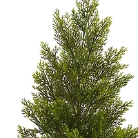 3ft. Potted Mini Cedar Pine Tree