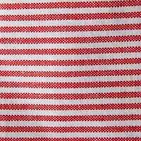 DII® Red & White Dishtowel Set