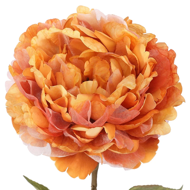 29.5" Orange-Yellow Peony Stem by Ashland®