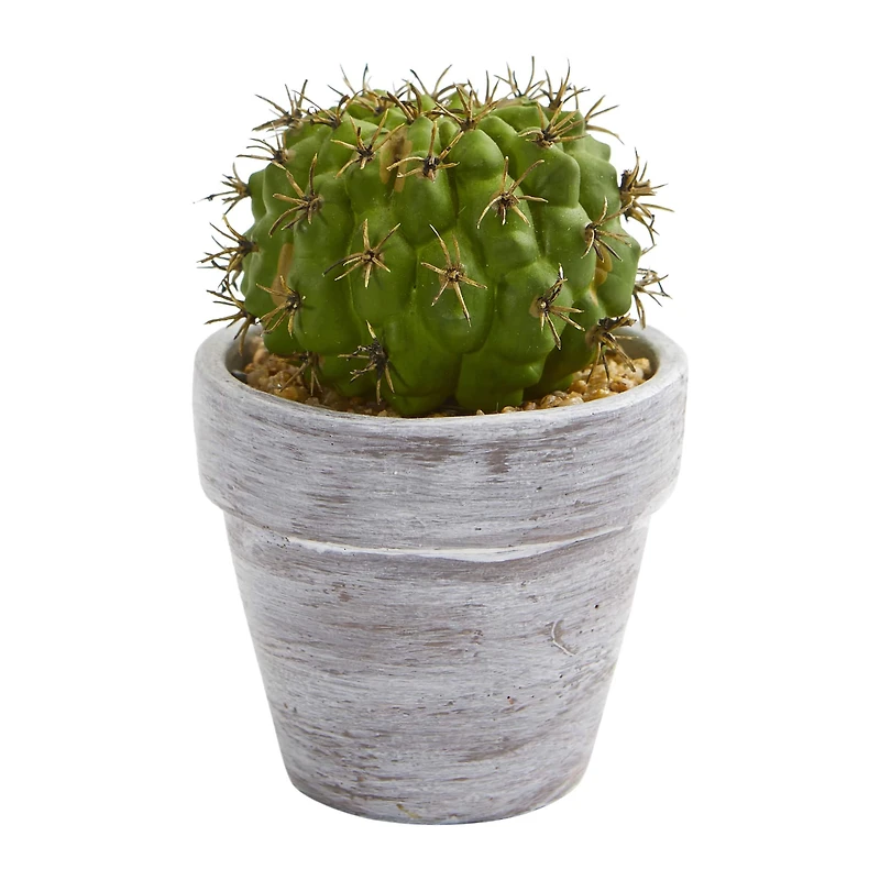 8" Assorted Potted Cactus Plant, 3ct.