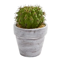 8" Assorted Potted Cactus Plant, 3ct.
