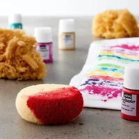 12 Packs: 4 ct. (48 total) Royal & Langnickel® Natural & Synth Sponge Pack