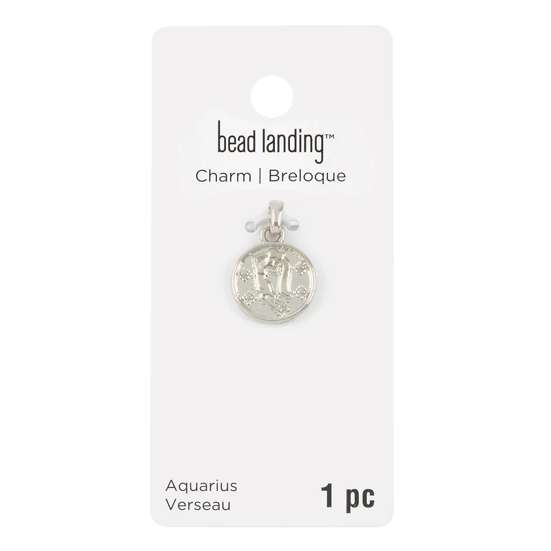 Metal Zodiac Coin Charm by Bead Landing