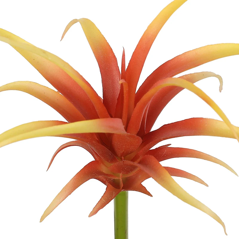 Assorted 7" Tillandsia Pick by Ashland®