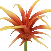 Assorted 7" Tillandsia Pick by Ashland®