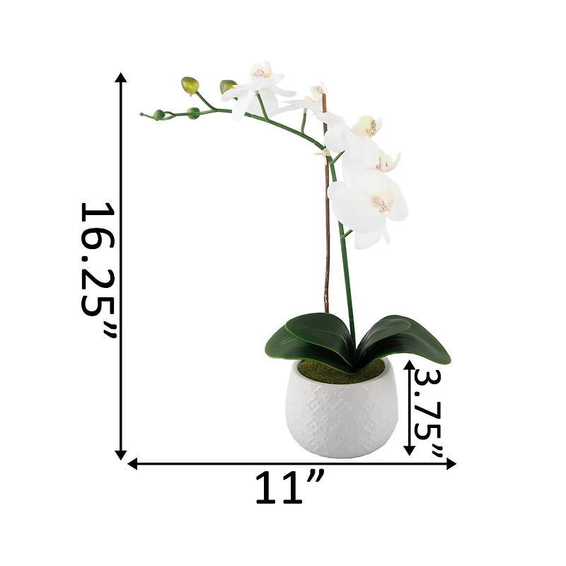 Flora Bunda® 16" Real-Touch Orchid in Ceramic Pot