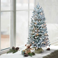 6 Pack: 4ft. Pre-Lit Flocked Fir Artificial Christmas Tree in Burlap Base, Clear Lights