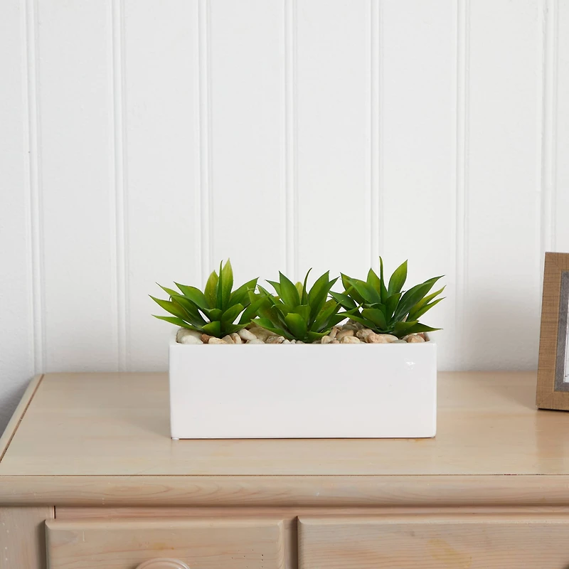 13" Agave Succulent in White Rectangular Planter