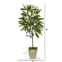 4ft. Ficus in Country White Planter