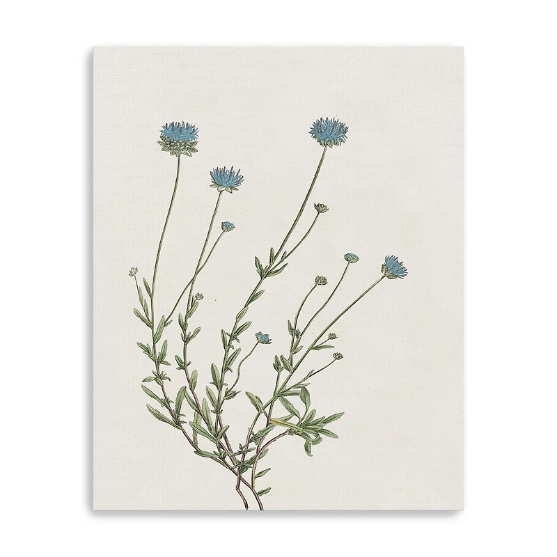 Blue Wispy I Canvas Giclee