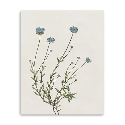 Blue Wispy I Canvas Giclee