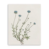 Blue Wispy I Canvas Giclee