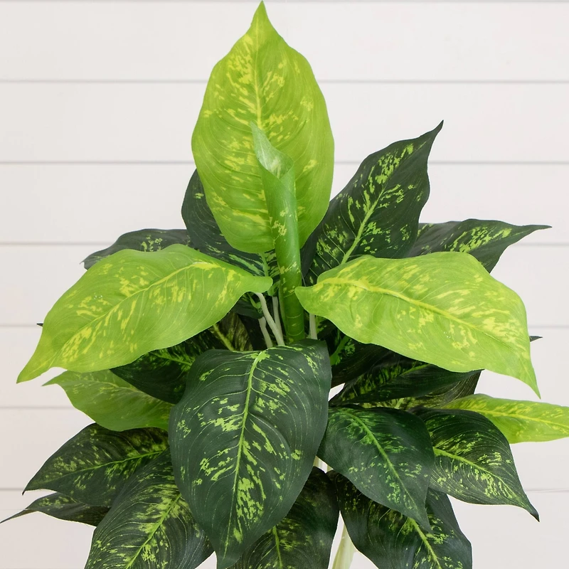 19" Artificial Dieffenbachia Plants, 6ct.