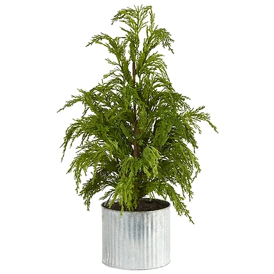 20" Unlit Cedar Pine Artificial Potted Christmas Tree