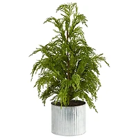 20" Unlit Cedar Pine Artificial Potted Christmas Tree