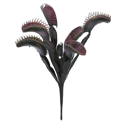 12" Purple & Black Venus Flytrap Pick by Ashland®