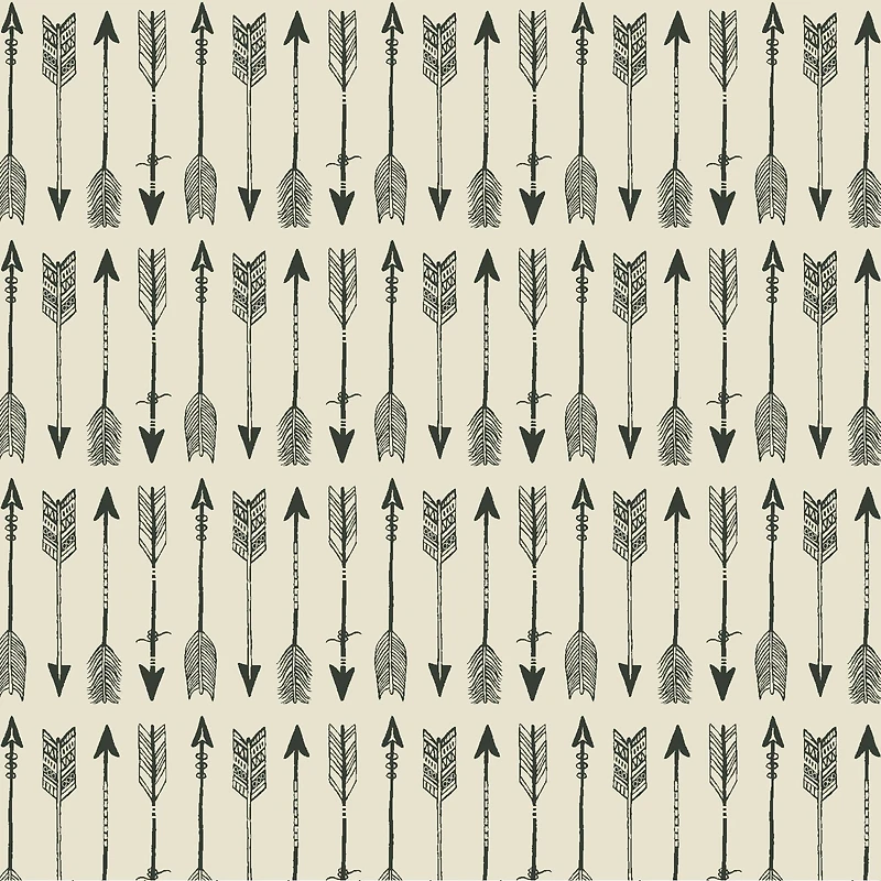 PKL Studio Arrows on Cotton Home Décor Fabric