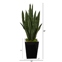 3ft. Snake Plant in Black Metal Planter