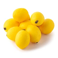 12 Packs: 10 ct. (120 total) Lemons by Ashland®