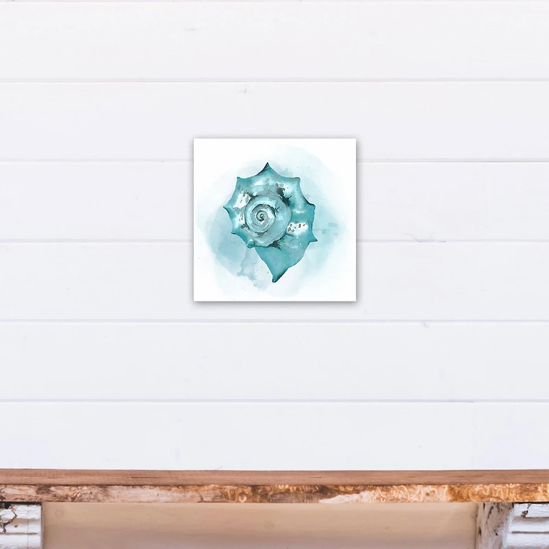 Blue Seashell 12" x 12" Canvas Wall Art