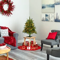 3ft. Pre-Lit South Carolina Spruce Artificial Christmas Tree, White Warm Lights