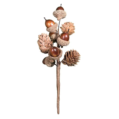 8" Acorn Pick by Ashland®