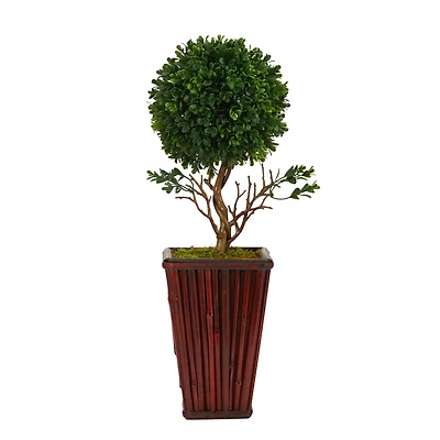 19" Boxwood Topiary Tree in Red Planter