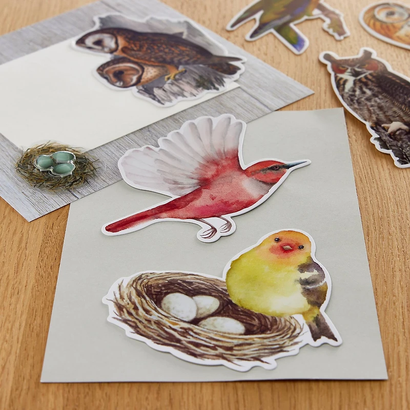 Birds Die Cut Stickers by Recollections™