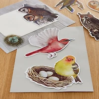 Birds Die Cut Stickers by Recollections™