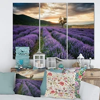 Designart - Sunrise & Dramatic Clouds Over Lavender Field VII