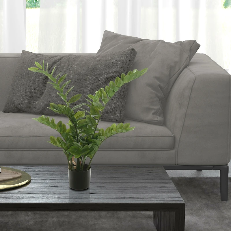 2ft. Potted Green Zamifolia Bush