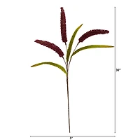 30" Burgundy Sorghum Harvest Spray, 12ct.