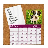 6" x 6" Flipside Cork Tiles, 4ct.