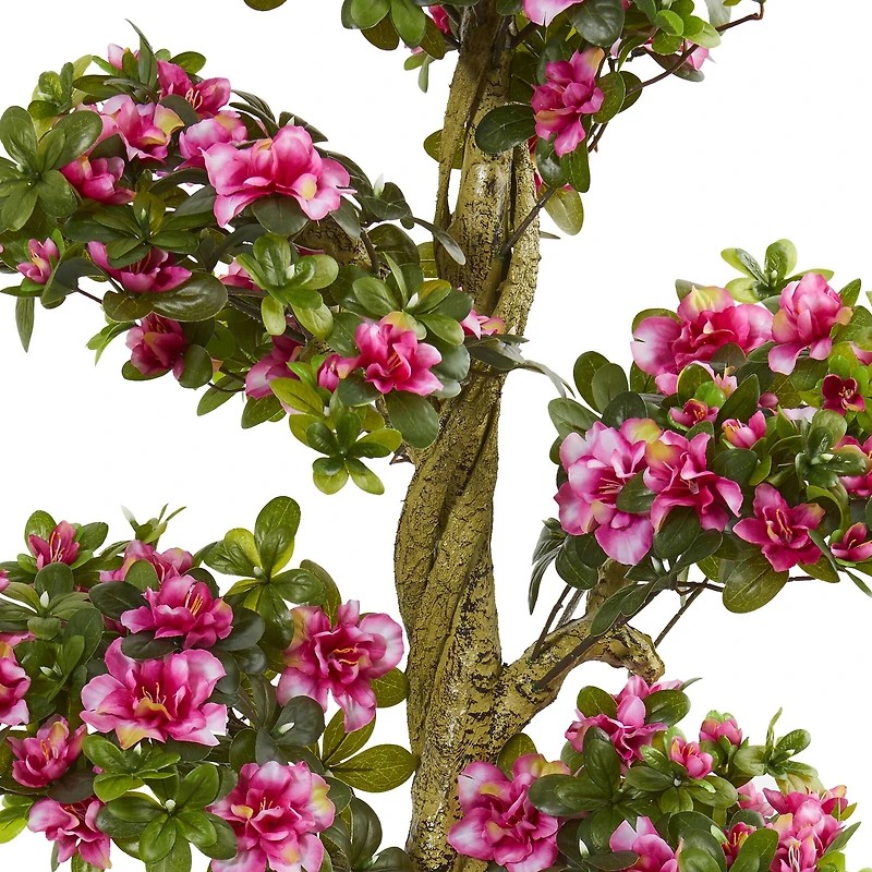 5ft. Potted Azalea Tree