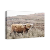 Highland Cow Landscape 24" x 16" Canvas Wall Art