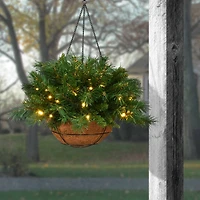 20" Tiffany Fir Hanging Basket With Warm White LED Battery Lights