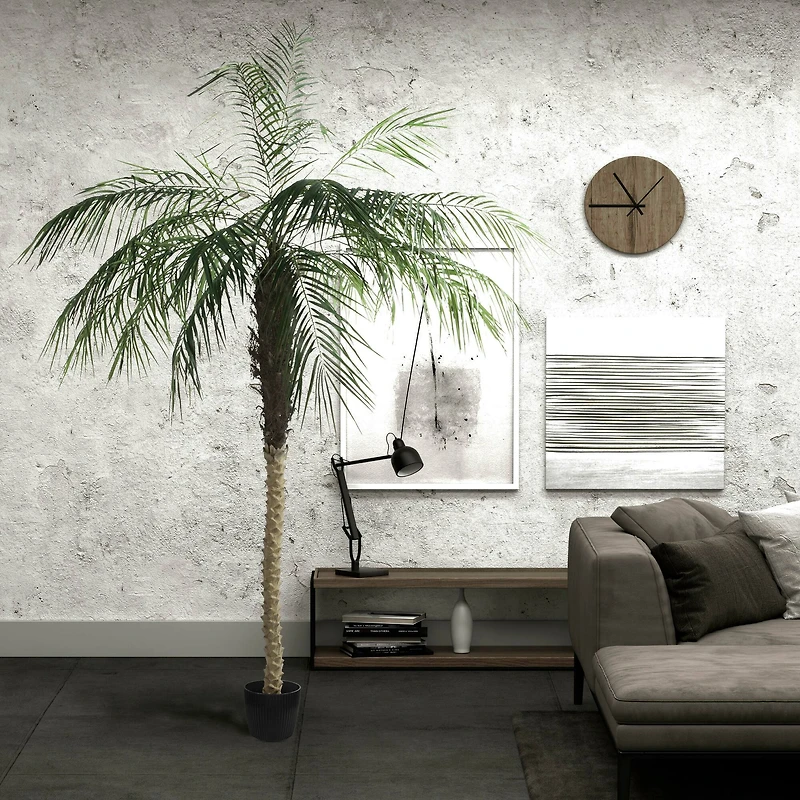 9ft. Potted Phoenix Palm Tree