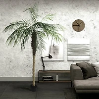 9ft. Potted Phoenix Palm Tree