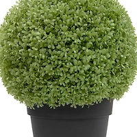 22" Unlit Artificial Boxwood Ball Topiary in Round Pot