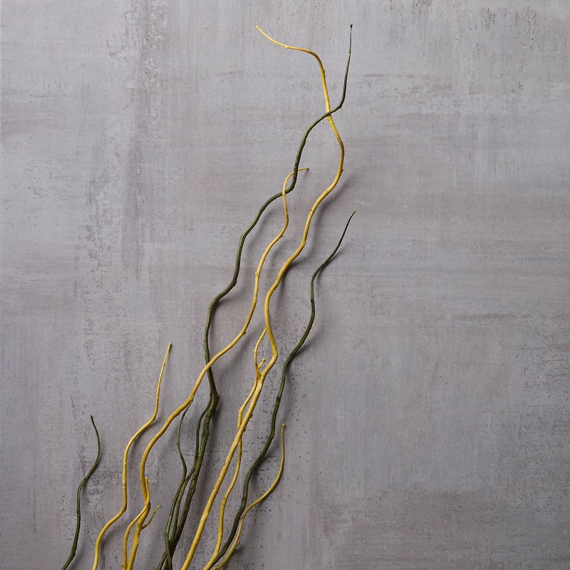 Tropical Twig Branch by Ashland®