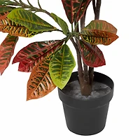 46" Potted Croton Shrub Tree