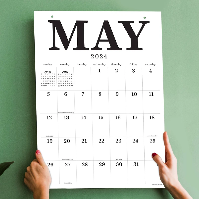 TF Publishing 2024 Medium Art Poster Wall Calendar