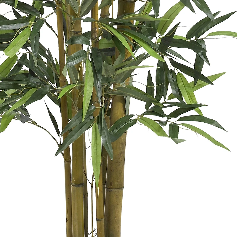 4ft. Potted Biggy Bamboo Tree