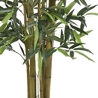 4ft. Potted Biggy Bamboo Tree