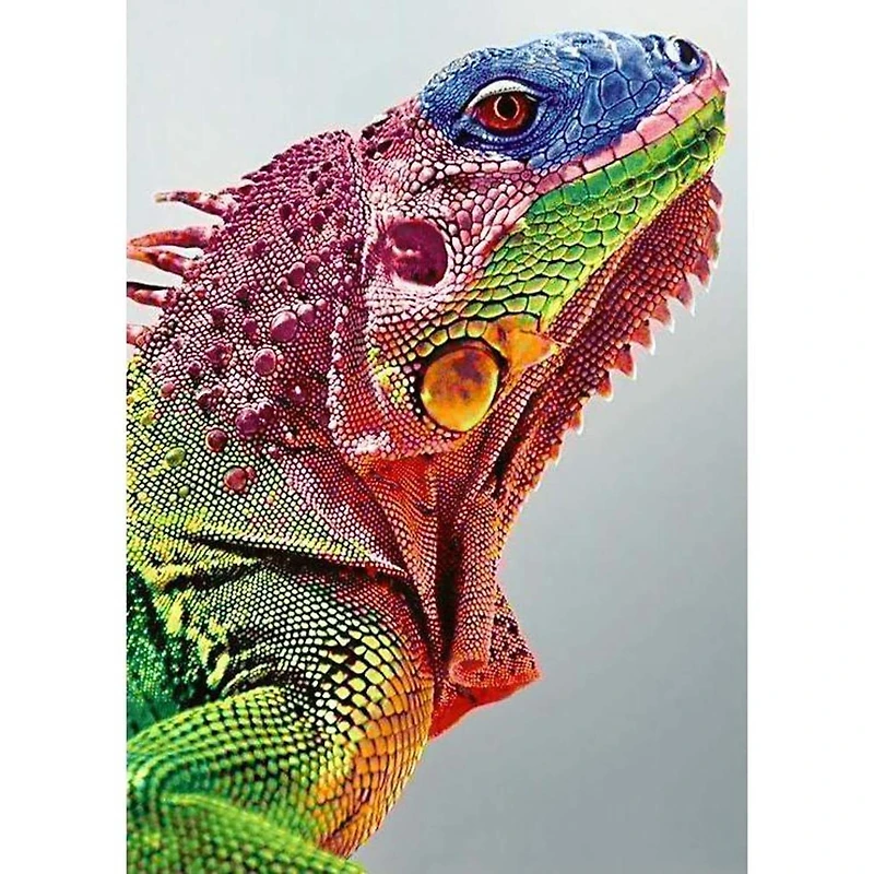 Wizardi Iguana Diamond Painting Kit